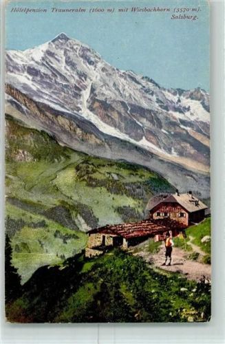 Trauneralm Wiesbachhorn
