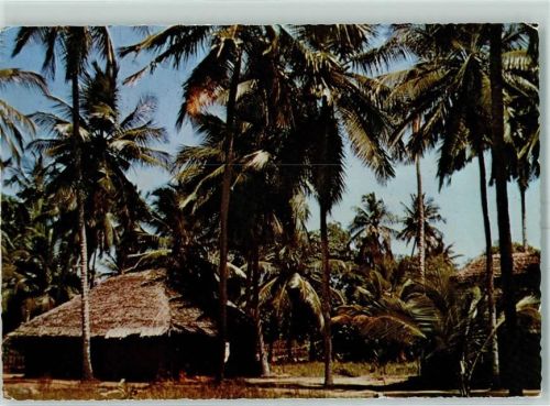 Mombasa Hütte