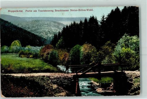 Brilon-Wald 1913 Hoppecketal Touristenweg Bruchhauser