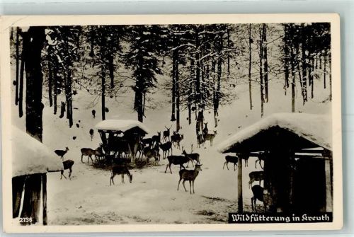 Kreuth Wildfütterung Rehe und Hirsche
