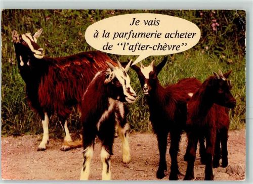 Humor AK