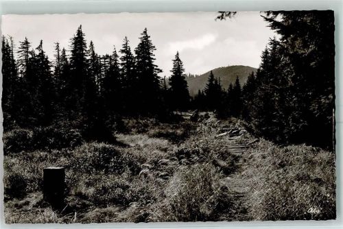 1958 Blick von der tschechischen Grenze zum Luisengipfel AK