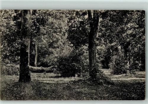 Varel Gruß vom Urwald