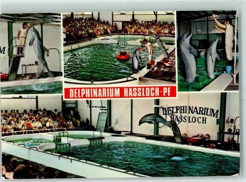 Haßloch Holiday Park Delphinarium Delphine