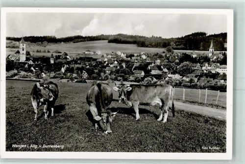 Wangen