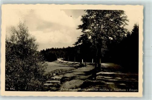 Holzhau Mulde Straße