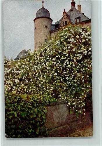 1916 Schloß Namedy am Rhein , FPhG 3756 AK Eckknick
