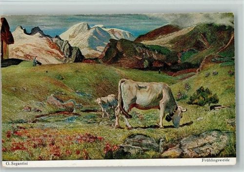 Frühlingsweide - Kühe auf der Alm - Berge - Bruckmann Bildkarte Nr. 29 AK