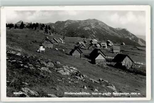 Alpl Hinteralmhütten gegen Schneealpe Kühe Ort lt. Stempel