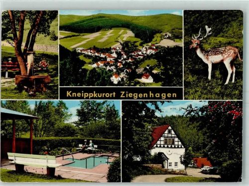 Ziegenhagen Kneipp-Tretbecken Hirsch Brunnen