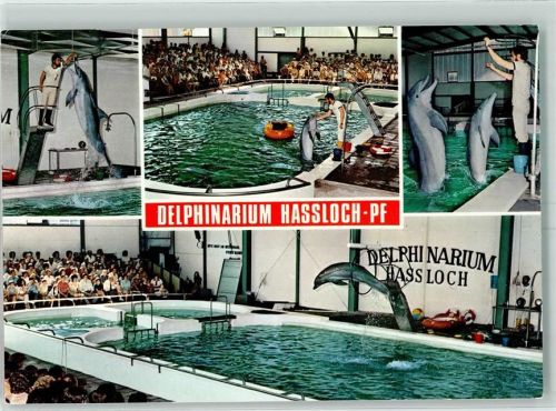 Haßloch Delphinarium