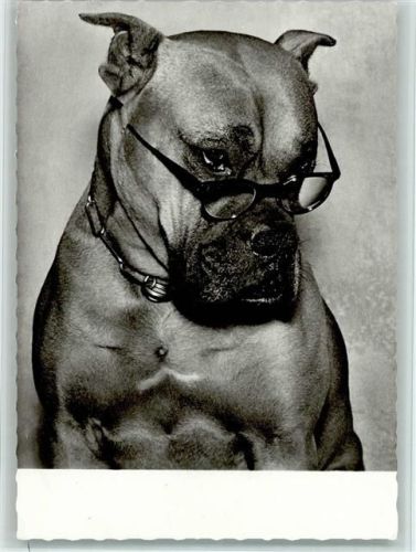 1969 Amag Serie 9205-6 Hund mit Brille - gute Erhaltung
