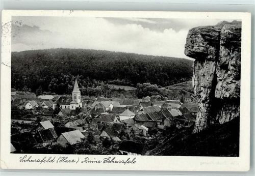 Scharzfeld Ruine Scharzfeld