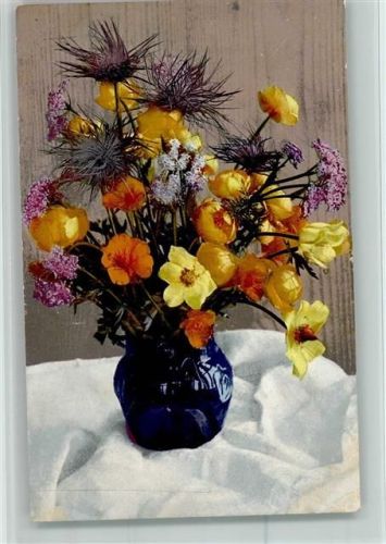 1916 Nenke & Ostermaier Alpenblumen Serie H Nr. 492 AK Blumenvase