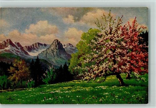 Nr. 1275 Von W. Hoy - Frühling im Gebirge AK