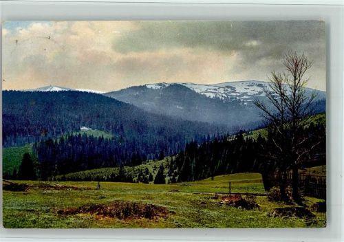 Feldberg 1913 Serie 166 Nr. 2974, Seebuck , gute Erhaltung AK