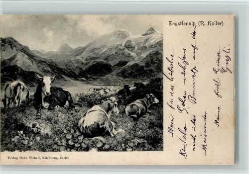 1904 Engstlealp - Kühe AK