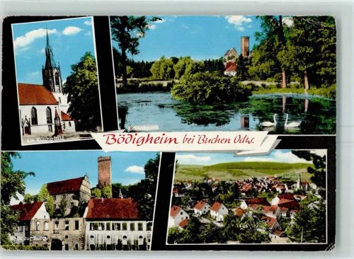 Bödigheim Schloßpark Schwäne Burg Kirchplatz