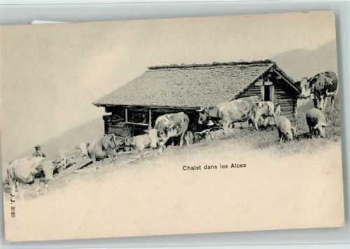 1900 Cjhalet dans les Alpes - Kühe und Schweine , Verlag J.J. 3020 AK