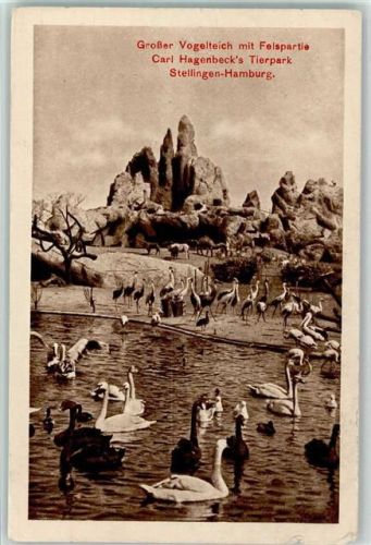 Verlag Carl Hagenbeck - Vogelteich, gute Erhaltung Zoo