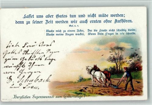 1906 Bauer mit einem Pferdegespann und einem Pflug , Ackerbau AK