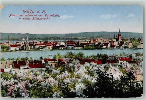 Werder Panorama während der Baumblüte in voller Blütenpracht