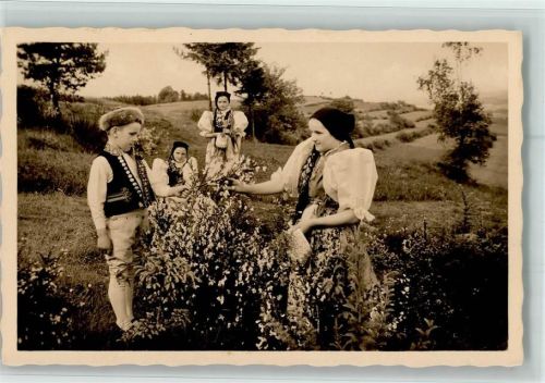 Ceske narodni kroje - Chodsko - Foto Josef Svec Nr. 3831 AK