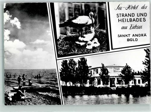 Sankt Andrä See-Hotel Zicksee Storch Nest