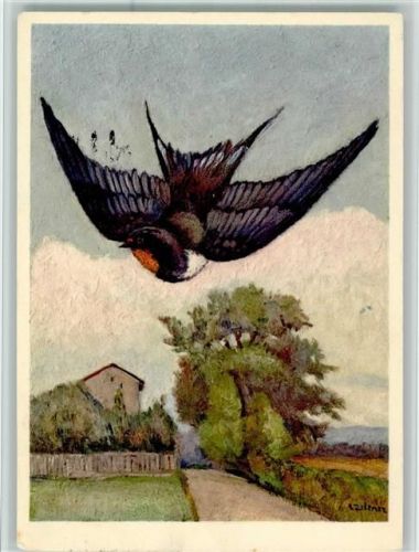 Nr. 464 Jean Zeltner - Rauchschwalbe , gute Erhaltung