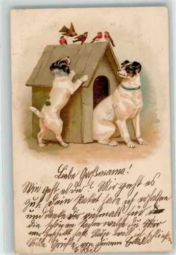 Hundehütte Vögel Großer Hund 1902 Lithographie