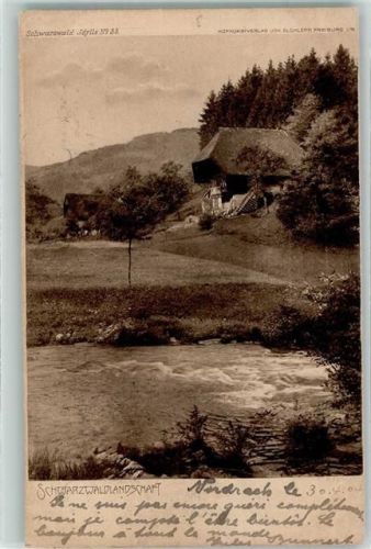 1904 Schwarzwaldlandschaft Schwarzwald Idylle Nr 38