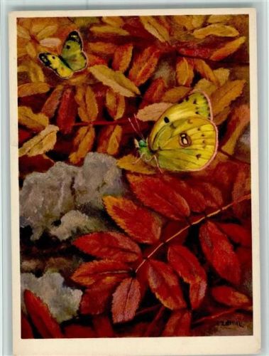 Nr. 607 Jean Zeltner - Posthörnchen , gute Erhaltung