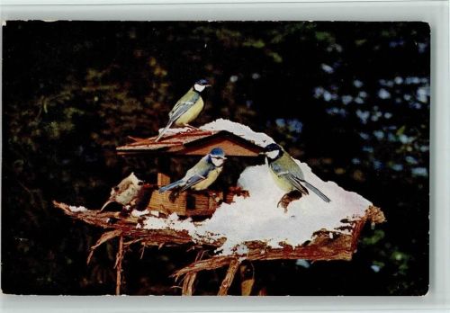 Vogelhaus im Winter AK Vogelschutzbund