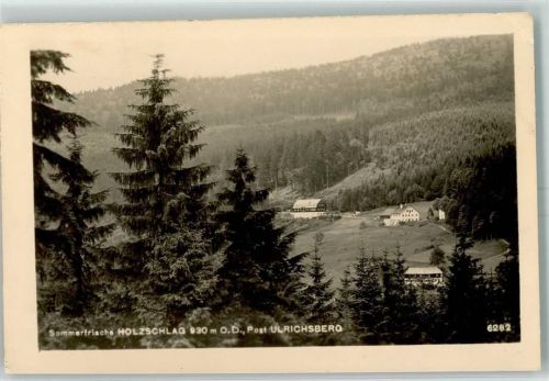Holzschlag