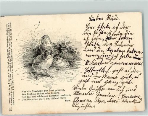 1898 Berliner Tierschutzverein Nr. 15 Küken