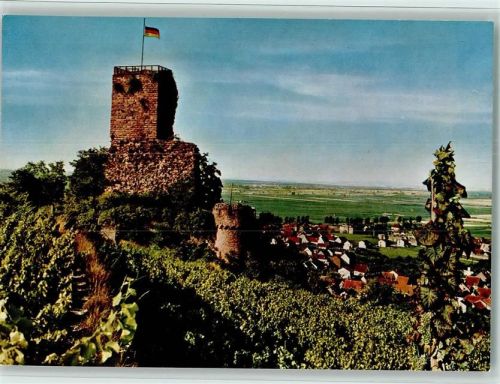 Wachenheim Die Wachtenburg