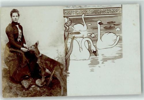 1903 Frau mit einem Reh - Schwäne