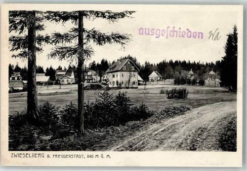 Zwieselberg Foto AK
