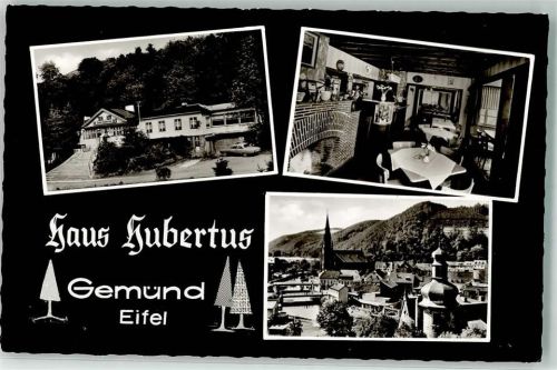 Gemünd Gasthaus Haus Hubertus