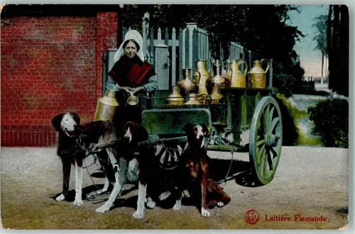 1915 Laitiere Flamande Milchkannen Tracht
