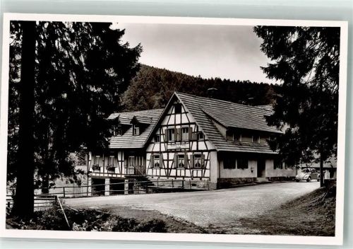 Hundsbach Gasthaus zur Forelle Foto Metz