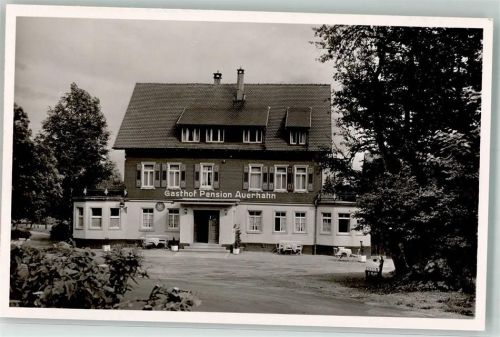 Zwieselberg Gasthaus Pension Auerhahn Foto AK Metz