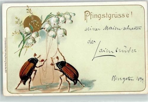 1899 Pfingstgrüsse! Maikäfer bringen Maiglöckchen zum klingen Tiere vermenschlicht Lithographie Heinr. & August Brüning Dep. 8171