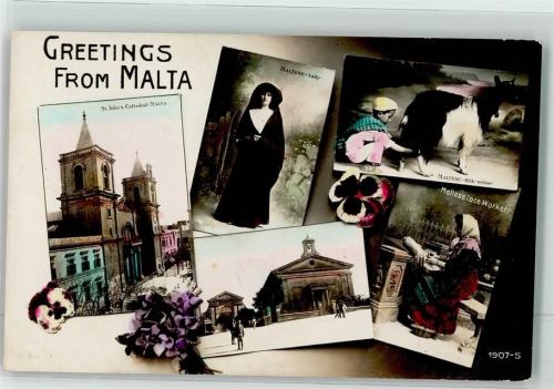 Valletta St. John`s Cattedrale Tracht Ziege