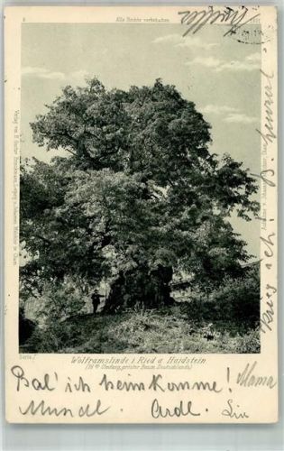 93444 W8493 Bad Kötzting 1898 Foto AK Adelskorrespondenz Wolframslinde in Ried am Haidstein