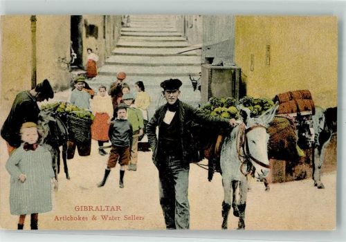 Gibraltar Esel Marktszene