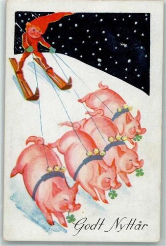 Godt Nyttar Zwerg mit Ski