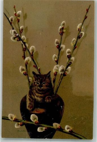 1900 Katze in der Blumenvase , Kätzchenzweige Verlag Winkler & Voigt Nr. 5416