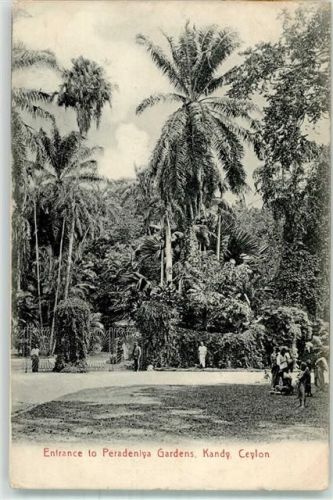 Kandy 1908