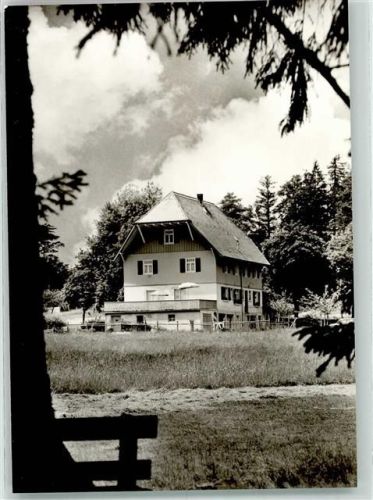 Zwieselberg Gasthaus Armbruster Foto AK Metz